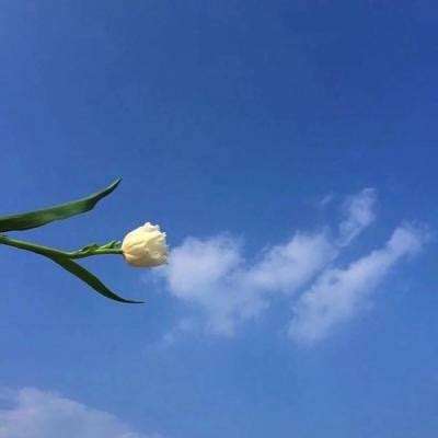 风流小县令游戏